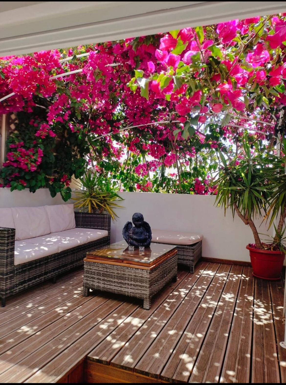 فيلا Casa Da Avo By Ammonite&Co Olhão المظهر الخارجي الصورة